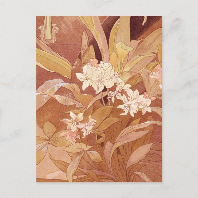 Alphonse Mucha Art Nouveau Floral Detail Postcard (Front)