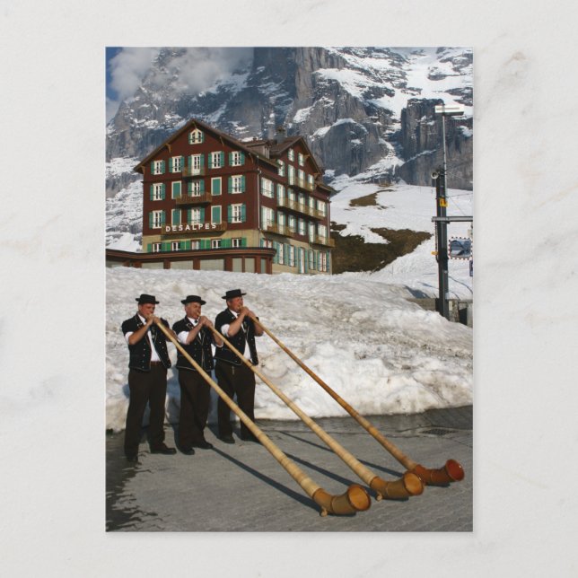 Alphorn Musicians In Kleine Scheidegg Switzerland Postcard (Front)