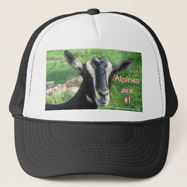 Alpine Cap-customise Trucker Hat (Front)