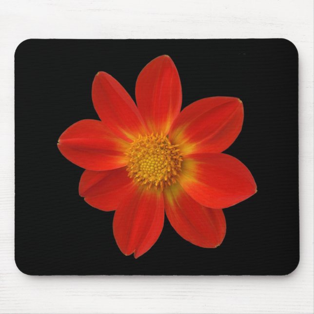 Alpine Cherub (Dahlia) Mouse Mat (Front)