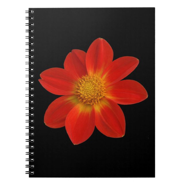 Alpine Cherub (Dahlia) Notebook (Front)
