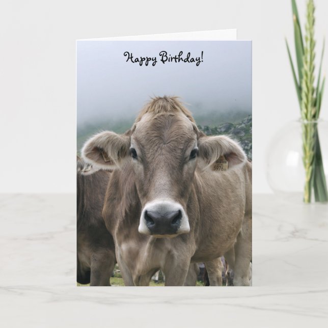 Alpine cow birthday card (Front)