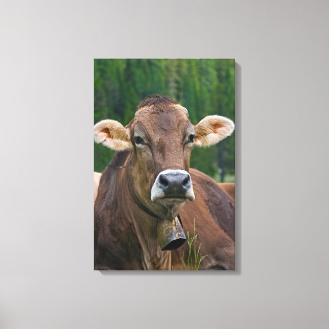 Alpine Cow Wrapped Canvas (Front)