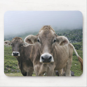 Alpine cows mouse mat