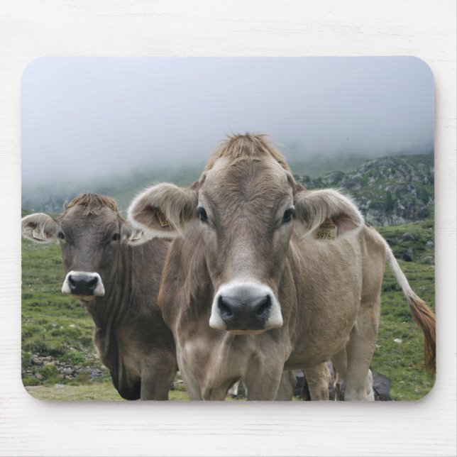 Alpine cows mouse mat (Front)