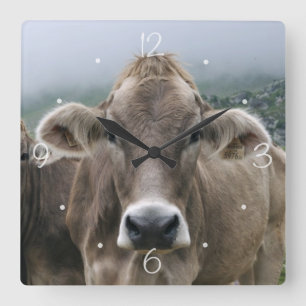 Alpine cows square wall clock