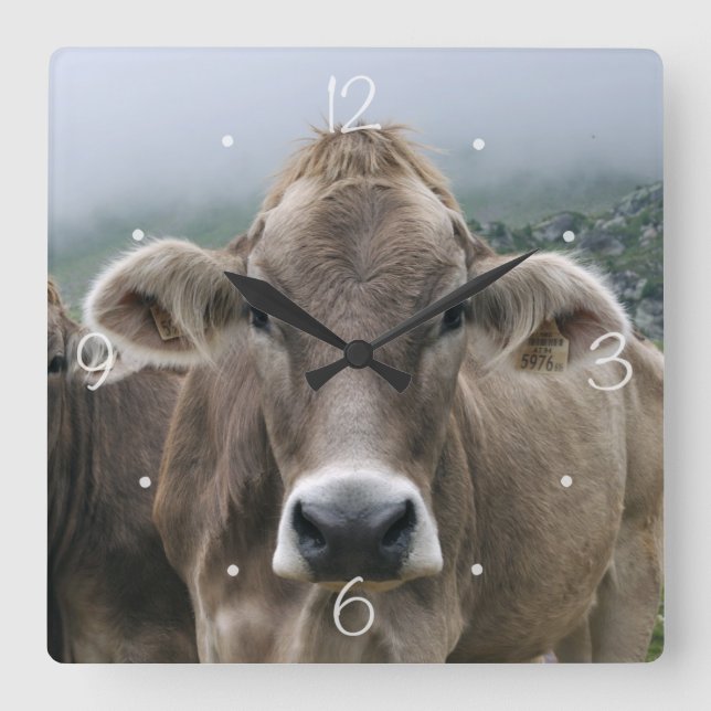 Alpine cows square wall clock (Front)