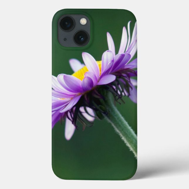 Alpine Daisy Case-Mate iPhone Case (Back)