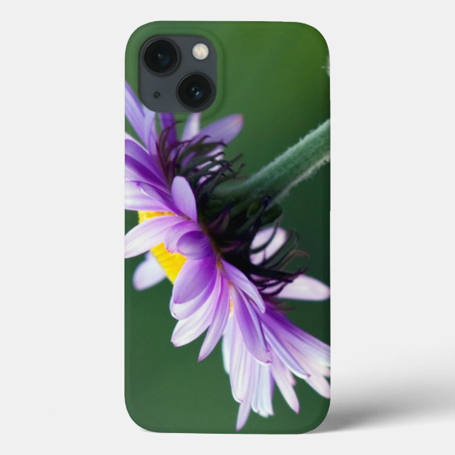 Alpine Daisy Case-Mate iPhone Case (Back)