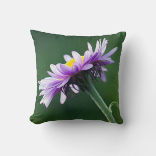 Alpine Daisy Cushion