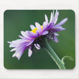 Alpine Daisy Mouse Mat