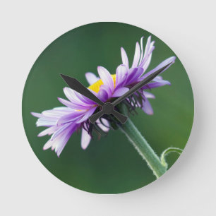 Alpine Daisy Round Clock