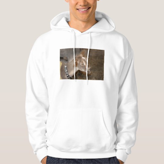 Alpine doe shaved baby goat striped face hoodie