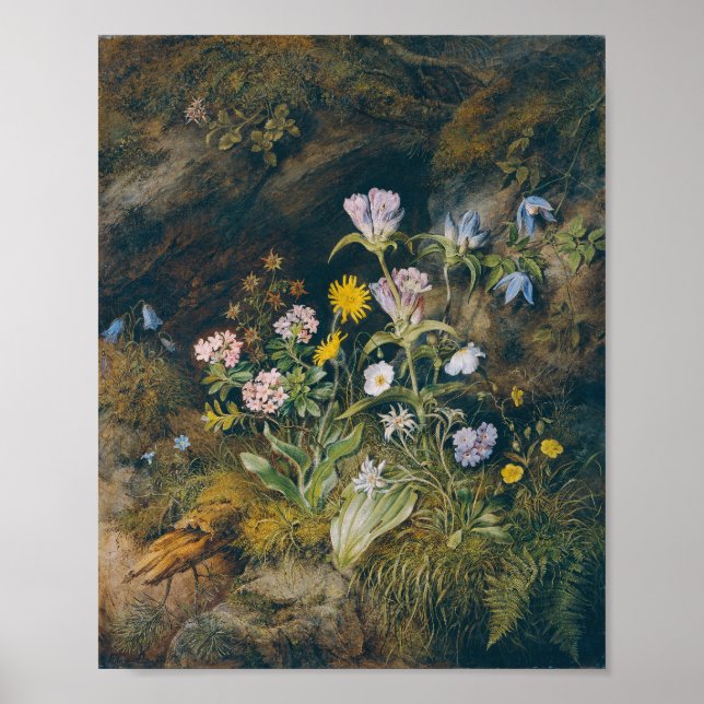 Alpine Flora | Theodor Petter Poster (Front)