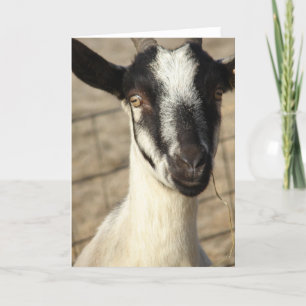 Alpine Goat Card