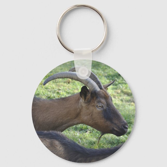 Alpine goat key ring (Front)