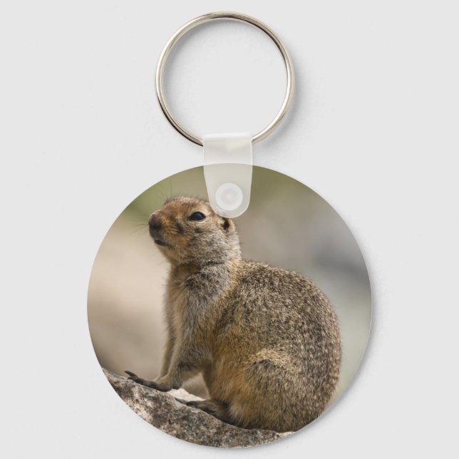 Alpine Hoary Marmot Keychain (Front)