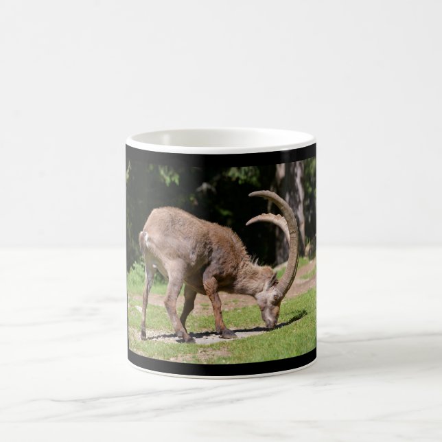 Alpine ibex grazing coffee mug (Center)