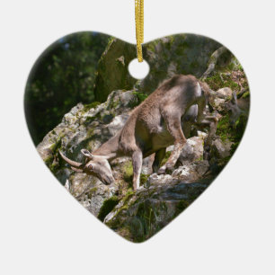 Alpine ibex in the mountain ceramic tree decoration