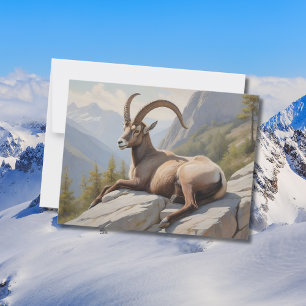 Alpine Ibex laying on rocky cliff  Postcard