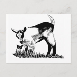 Alpine kid postcard