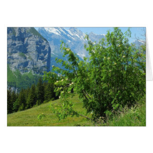 Alpine landscape card