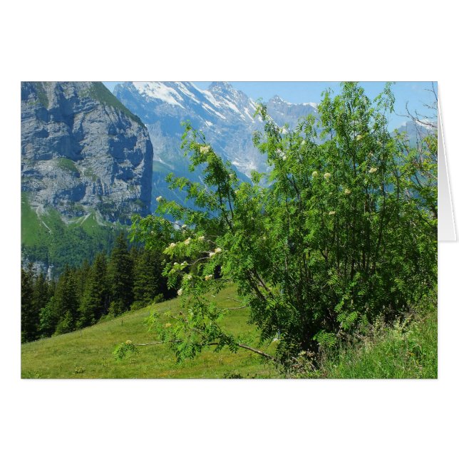 Alpine landscape card (Front Horizontal)