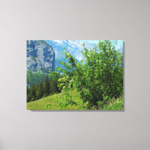 Alpine landscape in Switzerland Canvas Print