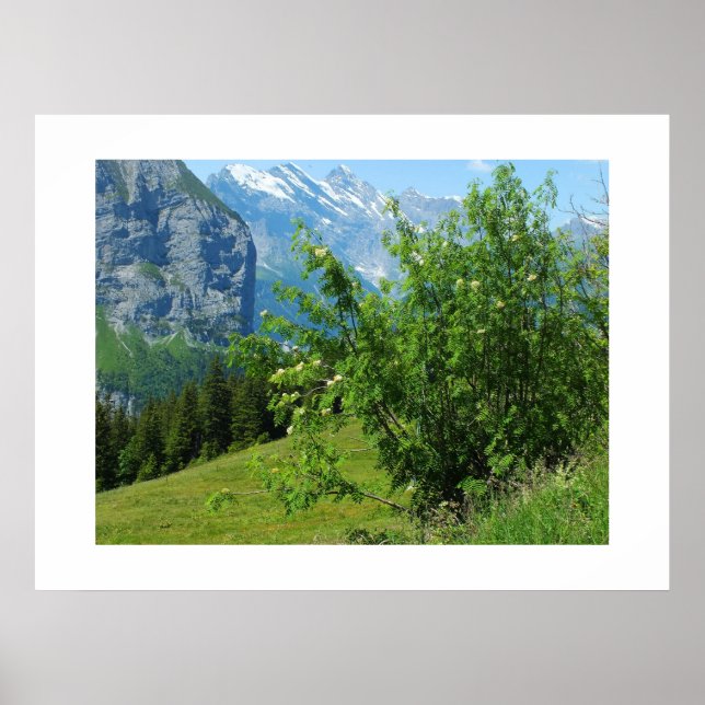 Alpine landscape in Switzerland Poster (Front)