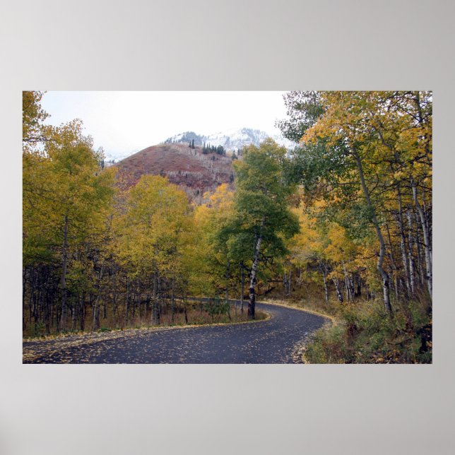 Alpine Loop Mount Timpanogos, Utah Poster (Front)