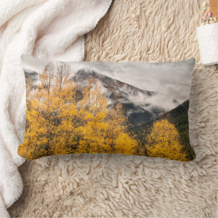 Alpine Loop Silverton, Colorado Lumbar Cushion