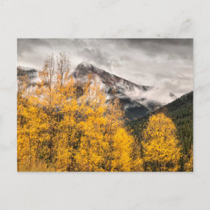 Alpine Loop   Silverton, Colorado Postcard