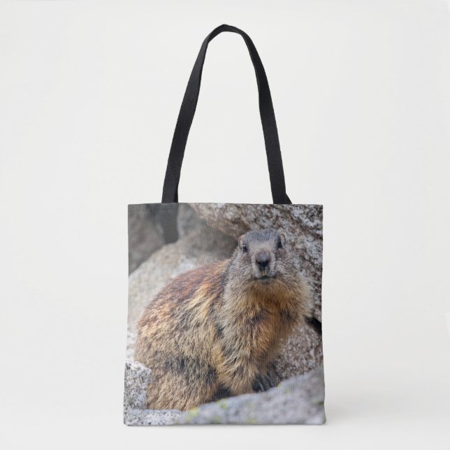 Alpine Marmot All Over Print Bag (Front)