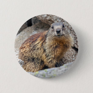 Alpine Marmot Badge