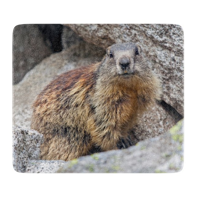 Alpine Marmot Glass Cutting Board (Front)