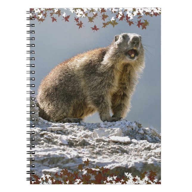 Alpine marmot in leaves frame notebook (Front)