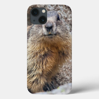 Alpine Marmot iPad Case