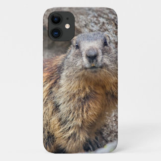 Alpine Marmot iPhone 11 Case