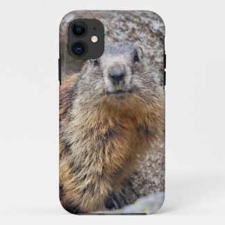 Alpine Marmot iPhone 5 Case