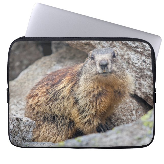 Alpine Marmot Laptop Sleeve (Front)