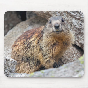 Alpine Marmot Mousemat