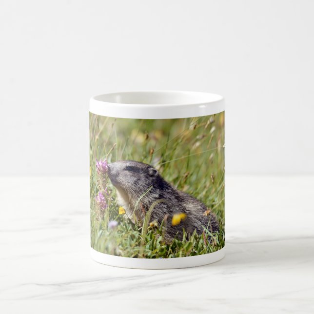 Alpine marmot near flower coffee mug (Center)