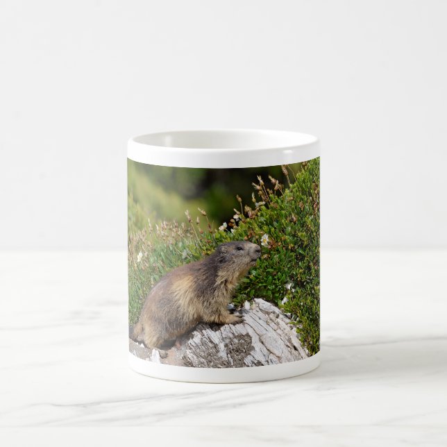 Alpine marmot on rock coffee mug (Center)