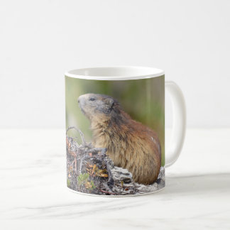 Alpine marmot on rock coffee mug