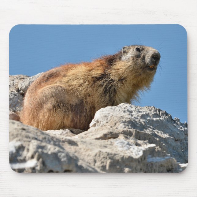 Alpine marmot on rock mouse mat (Front)