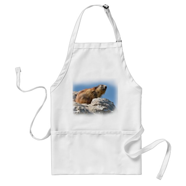 Alpine marmot on rock standard apron (Front)