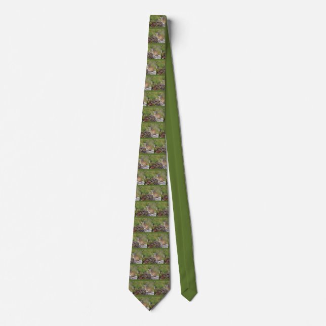 Alpine marmot on rock tie (Front)