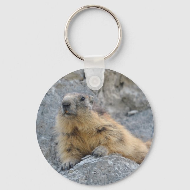 Alpine marmot on the roch key ring (Front)