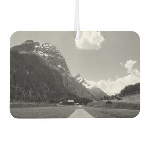 Alpine road car air freshener