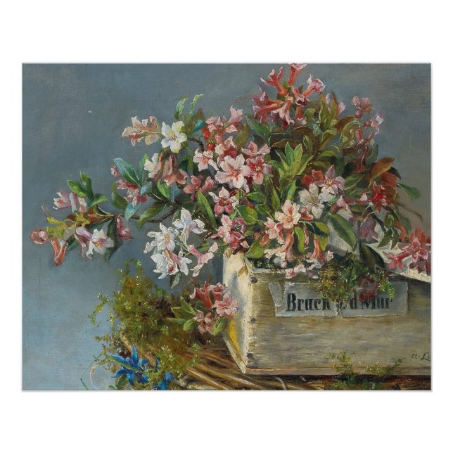 Alpine Roses in a Window Box – Andreas Lach Poster (Front)